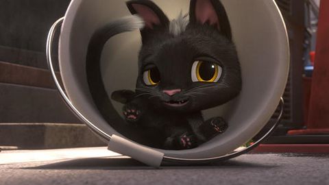 Image of Rudolf the Black Cat