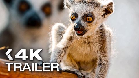 Bild zu Für die Wildnis geboren <span>Trailer</span>