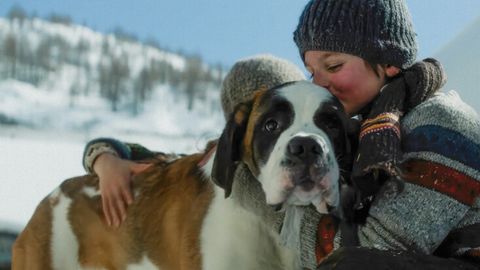 Bild zu Mein Freund Barry