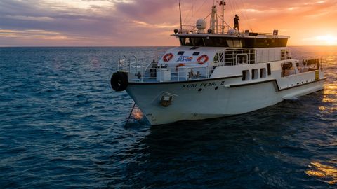 Image of Shipwreck Hunters Australia