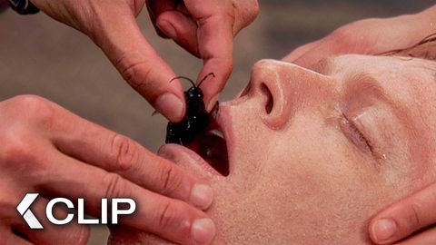 Image of A Tiny Insect Causes Massive Panicon Board - ANACONDA Clip | Jennifer Lopez