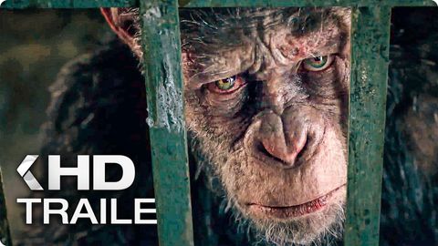 Bild zu Planet der Affen 3 <span>Trailer 4</span>