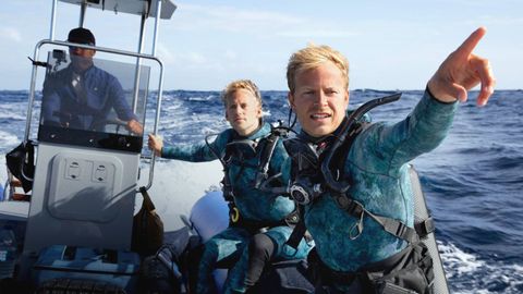 Bild zu Delfine hautnah mit Bertie Gregory