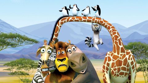 Bild zu Madagascar 2