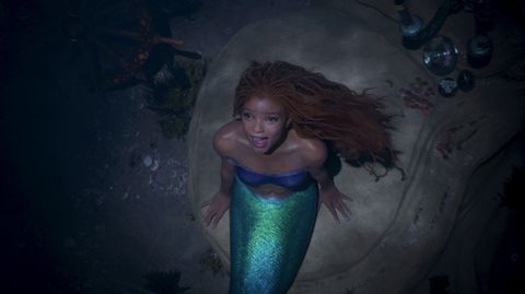 Image of The Little Mermaid