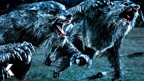 Image of Underworld Movies - Top Vampire vs. Werewolf Fights | Kate Beckinsale