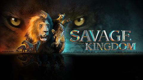 Bild zu Savage Kingdom