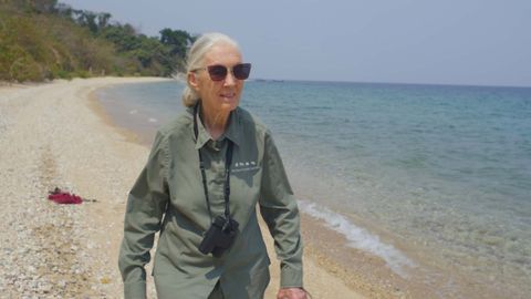 Image of Jane Goodall: The Hope