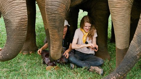 Bild zu Love & Bananas: An Elephant Story