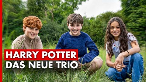 Bild zu Das sind Harry, Ron & Hermine in der Harry Potter Serie!