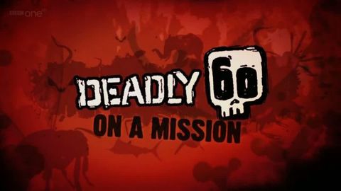 Bild zu Deadly 60 on a Mission
