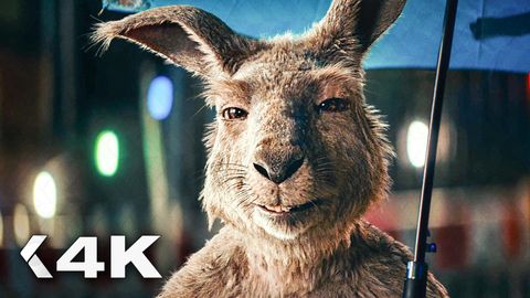 Bild zu Die Känguru-Verschwörung <span>Clip & Trailer</span>