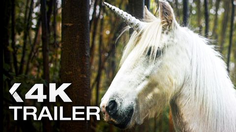 Bild zu Das Geheimnis des Einhorns <span>Trailer</span>