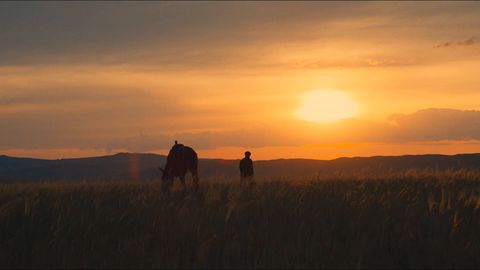 Image of Dawn of the Great Steppe