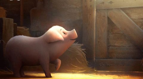 Bild zu Charlotte's Web