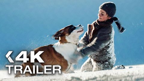 Bild zu Mein Freund Barry <span>Trailer</span>