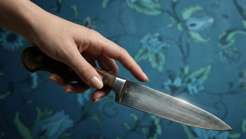 Image of The Housemaid 2: The Housemaid's Secret