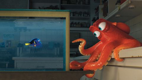 Bild zu Findet Nemo 2: Findet Dorie