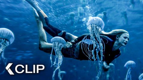 Image of She Swims Through Jellyfish For Survival - THE SHALLOWS