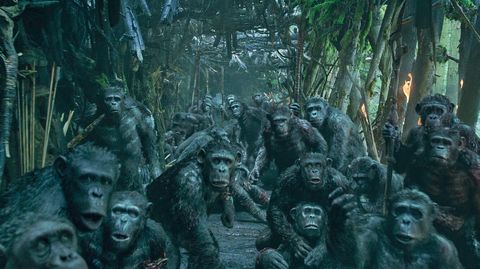 Image of War for the Planet of the Apes