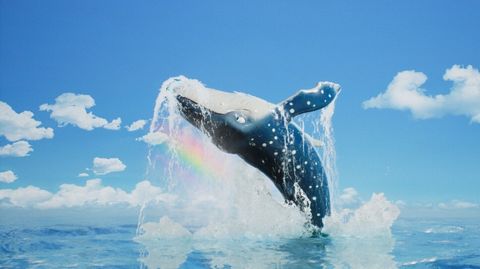 Bild zu The Last Whale Singer