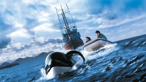 Bild zu Free Willy 3: Die Rettung