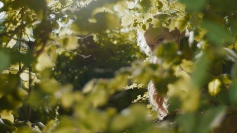 Image of The Magic Faraway Tree