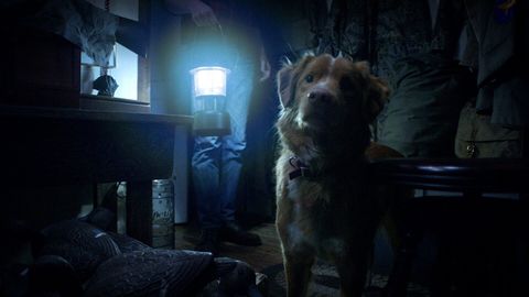 Image of Good Boy