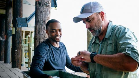Image of Shark Beach with Anthony Mackie