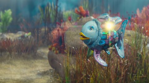 Bild zu Der Regenbogenfisch