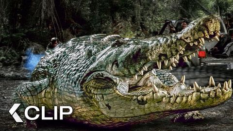 Image of Final Confrontation with the MURDEROUS Crocodile - LAKE PLACID Clip