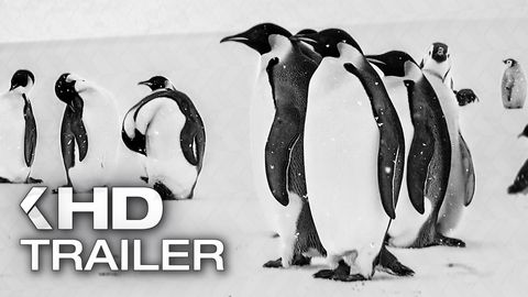 Bild zu Rückkehr zum Land der Pinguine <span>Trailer</span>