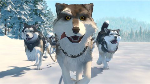 Image of White Fang