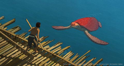 Image of The Red Turtle