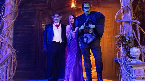 Image of The Munsters