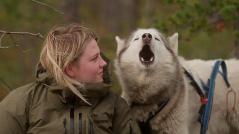 Bild zu Folktales