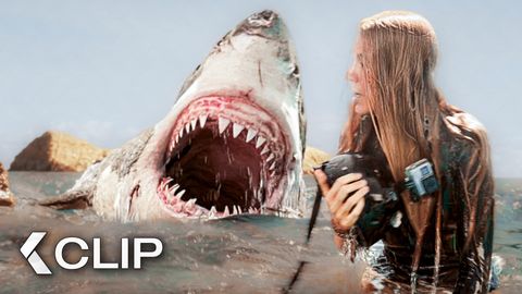 Image of She Has Seconds Before The Shark Returns - THE SHALLOWS Clip