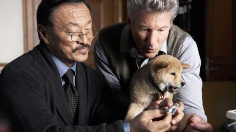 Image of Hachi: A Dog's Tale