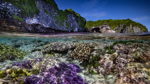 Bild zu Niue – Hoffnung für ein Paradies