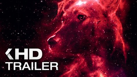 Bild zu Space Dogs <span>Trailer</span>