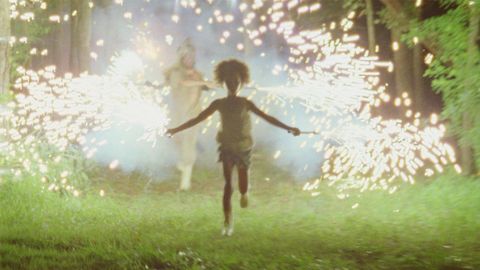 Image of Beasts of the Southern Wild