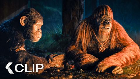 Image of Kingdom of the Planet of the Apes <span>Clip</span>