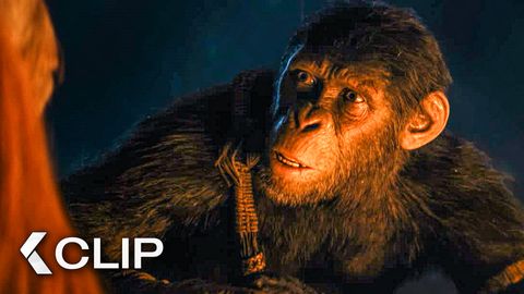 Bild zu Planet der Affen 4: New Kingdom  <span>Clip & Trailer</span>