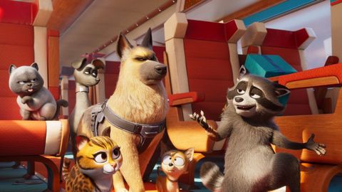 Image of Pets on a Train