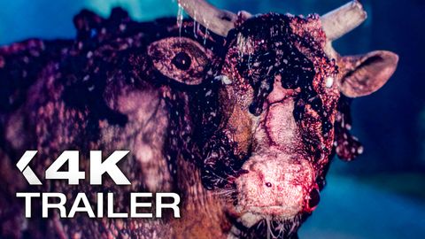 Image of Ick <span>Trailer</span>