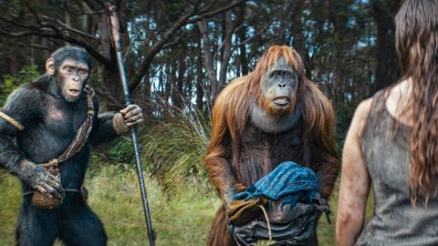 Image of Kingdom of the Planet of the Apes <span>Clip 3</span>