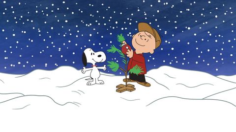 Image of A Charlie Brown Christmas