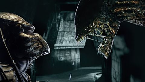Image of AVP: Alien vs. Predator
