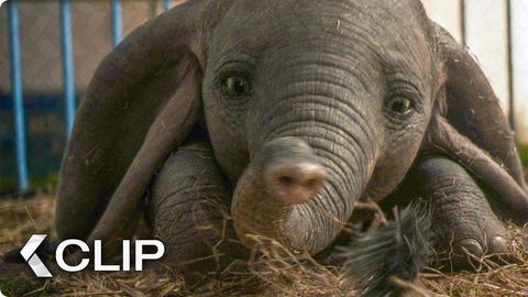 Image of Dumbo <span>Clip</span>
