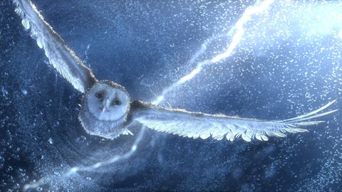 Image of Legend of the Guardians: The Owls of Ga'Hoole